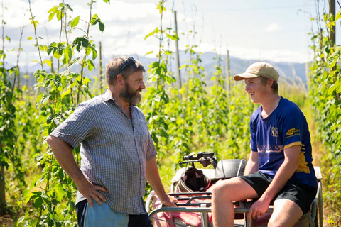 Glenrae Hops